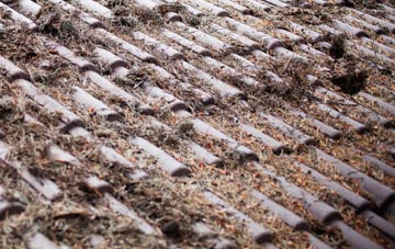 Timsbury roof cleaning companies