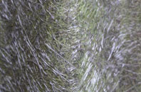 Timsbury fibreglass roof work